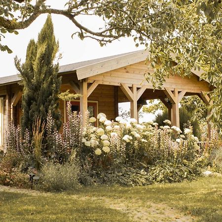 Chalet Ben In Broek Benningbroek Exterior photo
