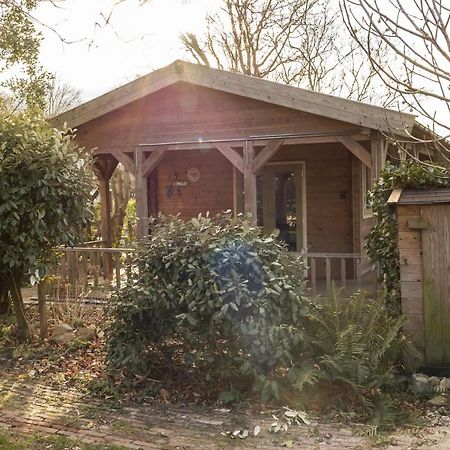 Chalet Ben In Broek Benningbroek Exterior photo