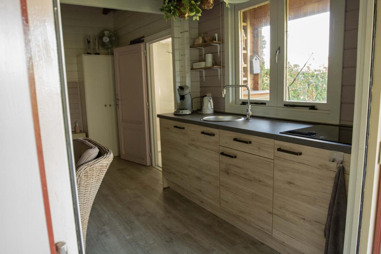 Chalet Ben In Broek Benningbroek Exterior photo