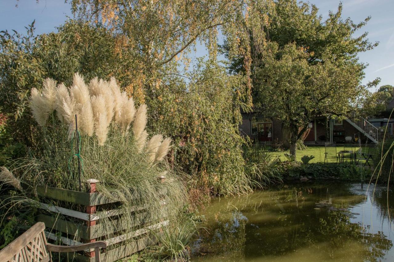 Chalet Ben In Broek Benningbroek Exterior photo