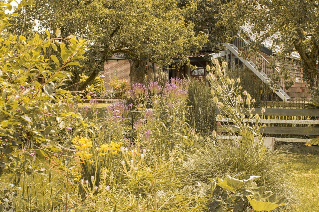 Chalet Ben In Broek Benningbroek Exterior photo