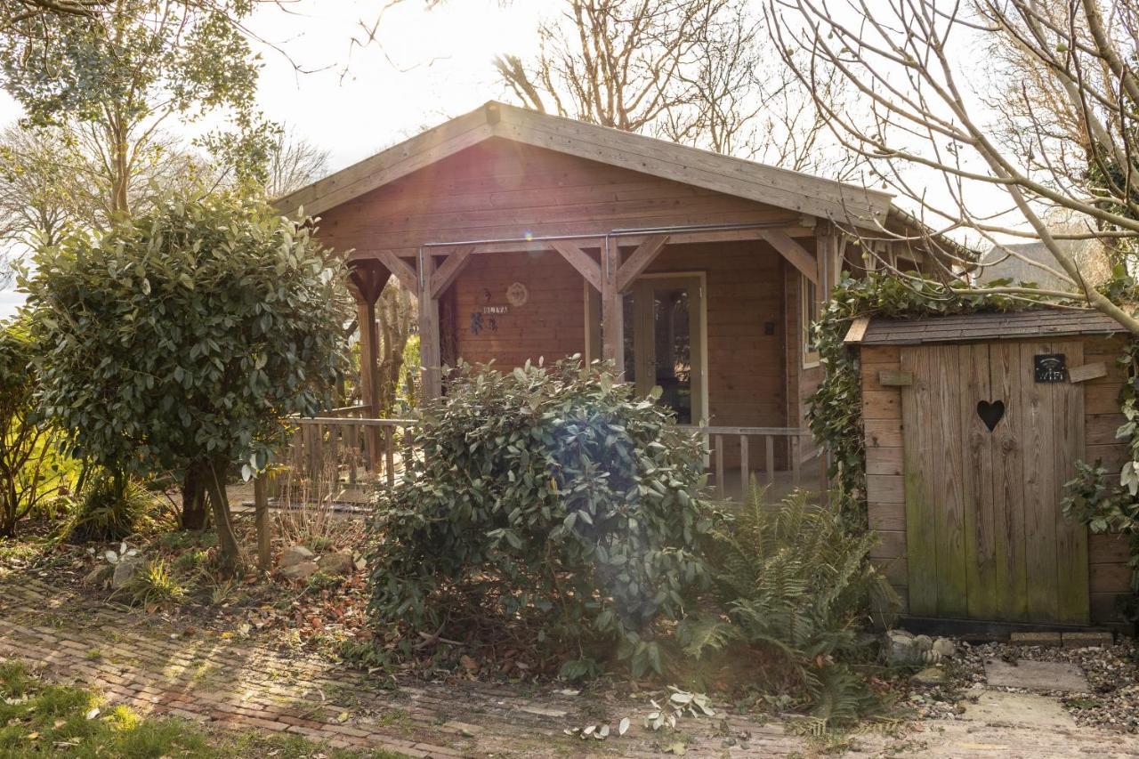 Chalet Ben In Broek Benningbroek Exterior photo